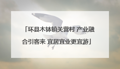 环县木钵镇关营村 产业融合引客来 宜居宜业更宜游