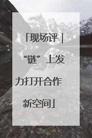现场评｜“链”上发力打开合作新空间