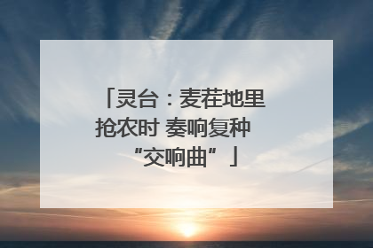 灵台：麦茬地里抢农时 奏响复种“交响曲”