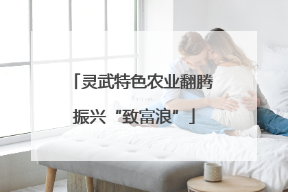 灵武特色农业翻腾振兴“致富浪”