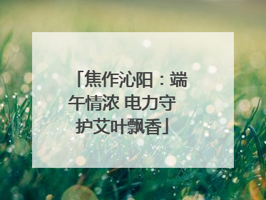 焦作沁阳：端午情浓 电力守护艾叶飘香