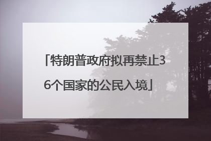 特朗普政府拟再禁止36个国家的公民入境