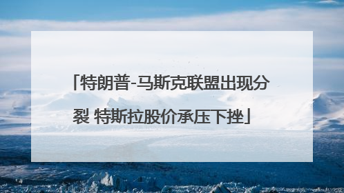 特朗普-马斯克联盟出现分裂 特斯拉股价承压下挫