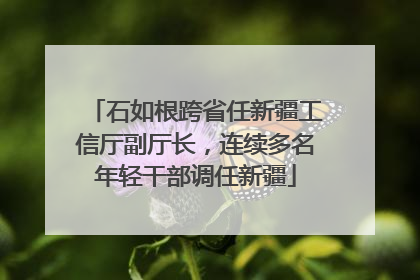 石如根跨省任新疆工信厅副厅长，连续多名年轻干部调任新疆