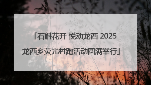 石斛花开 悦动龙西 2025龙西乡荧光村跑活动圆满举行