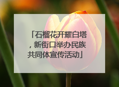 石榴花开耀白塔，新街口举办民族共同体宣传活动
