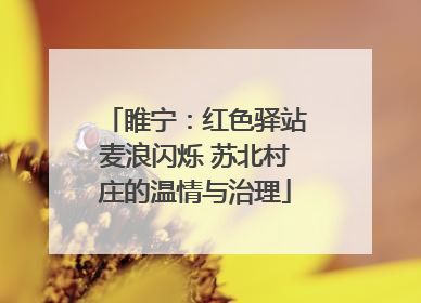 睢宁：红色驿站麦浪闪烁 苏北村庄的温情与治理