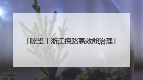 瞭望丨浙江探路高效能治理