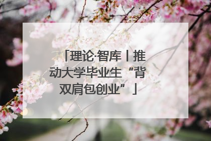 理论·智库丨推动大学毕业生“背双肩包创业”