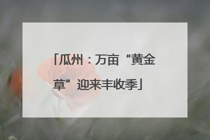 瓜州：万亩“黄金草”迎来丰收季