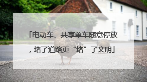 电动车、共享单车随意停放，堵了道路更“堵”了文明