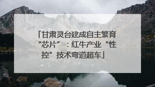 甘肃灵台建成自主繁育“芯片”：红牛产业“性控”技术弯道超车