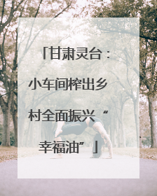 甘肃灵台：小车间榨出乡村全面振兴“幸福油”