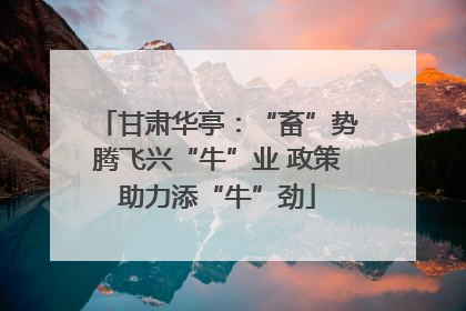 甘肃华亭：“畜”势腾飞兴“牛”业 政策助力添“牛”劲