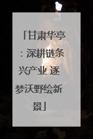 甘肃华亭：深耕链条兴产业 逐梦沃野绘新景
