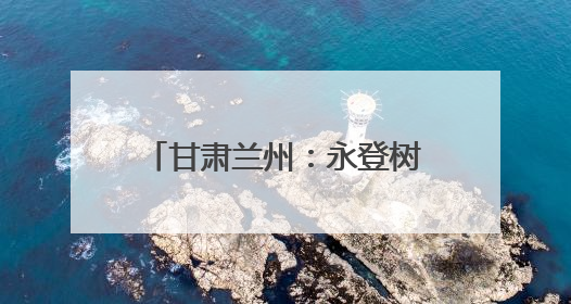 甘肃兰州：永登树屏龙王池文化乐园“新时代国学盛典”启动仪式暨系列活动发布会成功举办