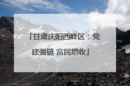 甘肃庆阳西峰区：党建强链 富民增收