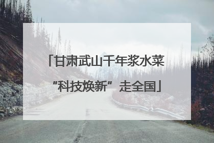 甘肃武山千年浆水菜“科技焕新”走全国