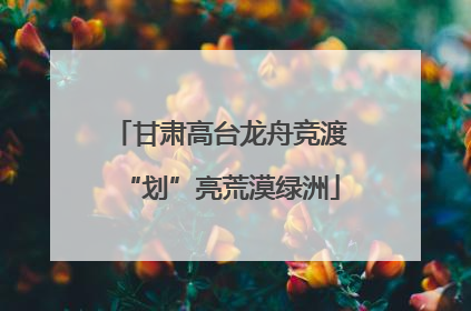 甘肃高台龙舟竞渡“划”亮荒漠绿洲
