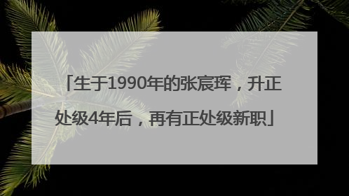 生于1990年的张宸珲，升正处级4年后，再有正处级新职