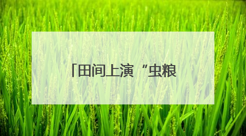 田间上演“虫粮博弈”，生物武器扭转“战局”