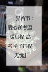 界首市：爱心送考温暖启程 高考学子行程无忧