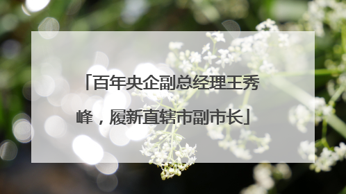 百年央企副总经理王秀峰，履新直辖市副市长