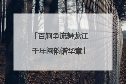 百舸争流舞龙江 千年闽韵谱华章