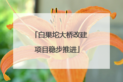 白果坨大桥改建项目稳步推进