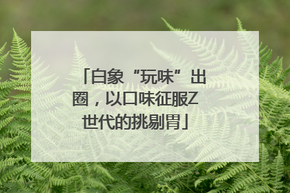 白象“玩味”出圈，以口味征服Z世代的挑剔胃