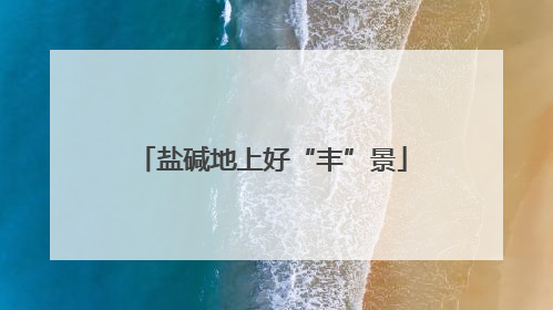 盐碱地上好“丰”景