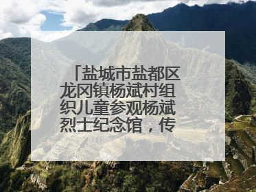 盐城市盐都区龙冈镇杨斌村组织儿童参观杨斌烈士纪念馆，传承红色基因