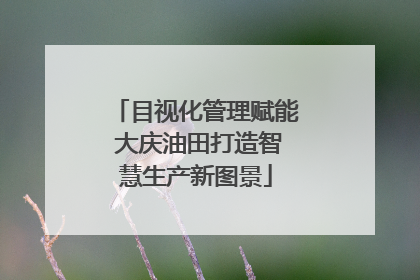 目视化管理赋能 大庆油田打造智慧生产新图景