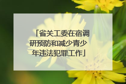 省关工委在宿调研预防和减少青少年违法犯罪工作