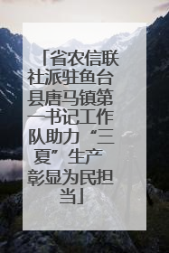省农信联社派驻鱼台县唐马镇第一书记工作队助力“三夏”生产 彰显为民担当