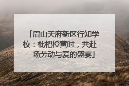 眉山天府新区行知学校：枇杷橙黄时，共赴一场劳动与爱的盛宴