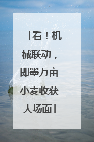 看！机械联动，即墨万亩小麦收获大场面