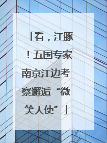 看，江豚！五国专家南京江边考察邂逅“微笑天使”