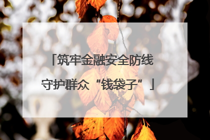 筑牢金融安全防线 守护群众“钱袋子”