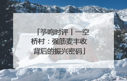 筝鸣时评丨一空桥村：强筋麦丰收背后的振兴密码