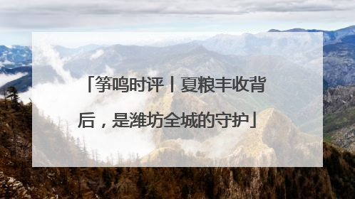 筝鸣时评丨夏粮丰收背后，是潍坊全城的守护