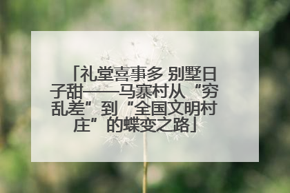 礼堂喜事多 别墅日子甜——马寨村从“穷乱差”到“全国文明村庄”的蝶变之路