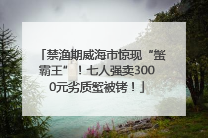 禁渔期威海市惊现“蟹霸王”！七人强卖3000元劣质蟹被铐！
