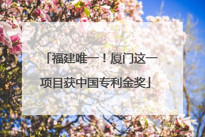 福建唯一！厦门这一项目获中国专利金奖