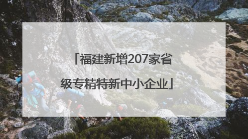 福建新增207家省级专精特新中小企业