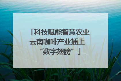 科技赋能智慧农业 云南咖啡产业插上“数字翅膀”