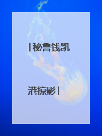 秘鲁钱凯港掠影