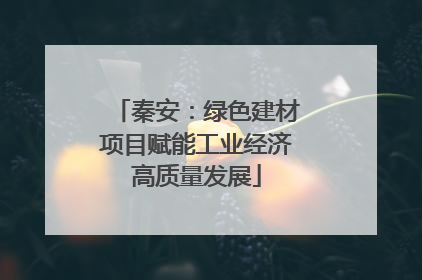 秦安：绿色建材项目赋能工业经济高质量发展