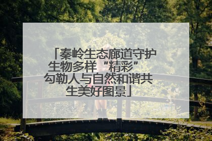 秦岭生态廊道守护生物多样“精彩” 勾勒人与自然和谐共生美好图景