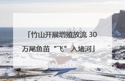 竹山开展增殖放流 30万尾鱼苗“飞”入堵河
